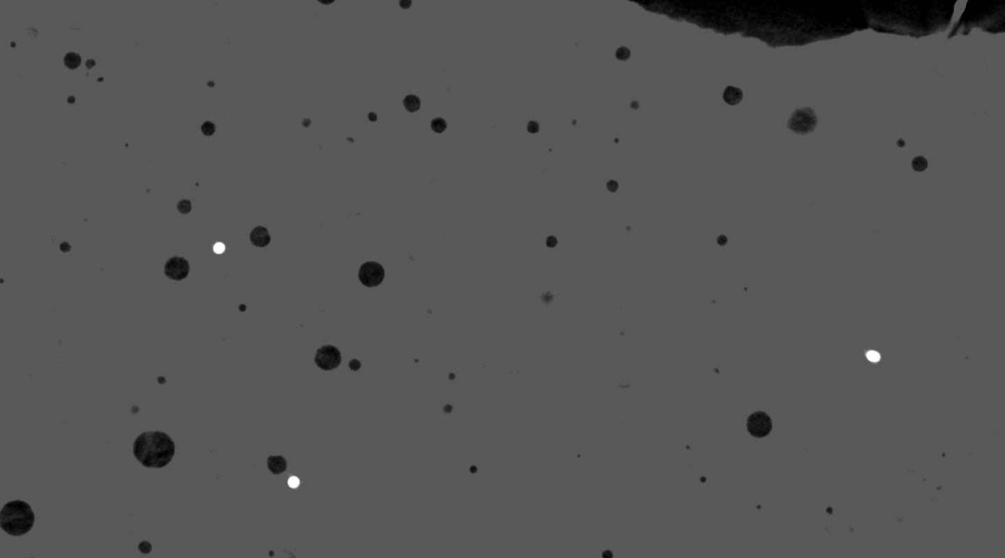 Battle Against the Void: Combining Voids and Inclusions in One Analysis Battle Against the Void: Combining Voids and Inclusions in One Analysis